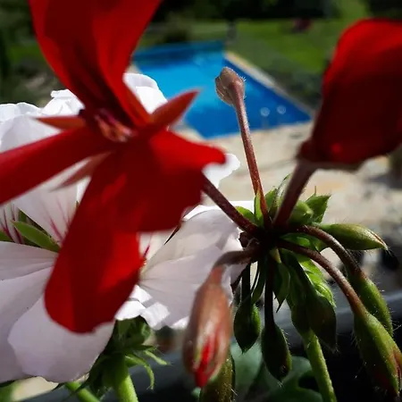 Am Weinberg Guest house *