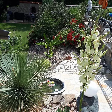 Am Weinberg Guest house *